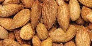 Almond Kernels