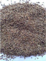 Organic Cumin Seeds