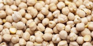 White Chickpeas