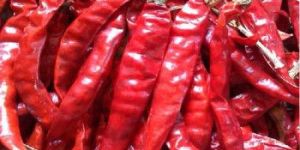 Dry Red Chilli