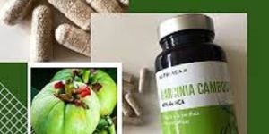 Garcinia Cambogia Weight Loss Product