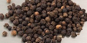 Black Pepper Seeds