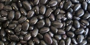 Black Turtle Beans