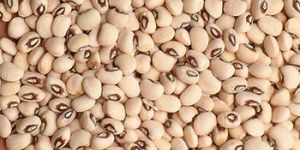 Cowpea Seeds