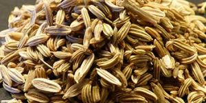 Fennel Seeds