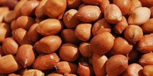Groundnut Kernels