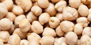 Kabuli Chickpea