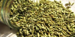 Fennel Seeds