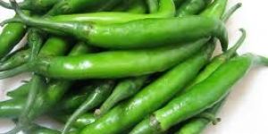 Fresh Green Chilli