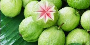 Fresh Guava