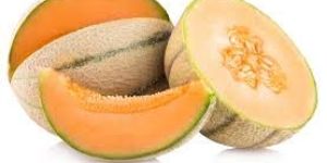 Fresh Muskmelon