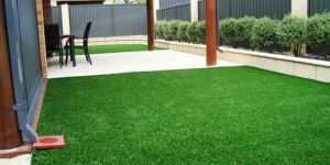 Artificial Grass Carpets