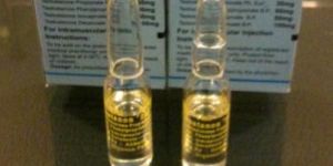 Sustanon 250 Mg Inj