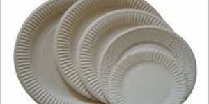 Disposable White Paper Plates