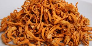 Dried Cordyceps Militaris