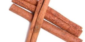 Cinnamon Stick