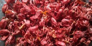 Dried Red Mace