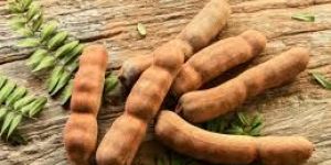 Fresh Tamarind