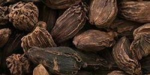 Organic Black Cardamom