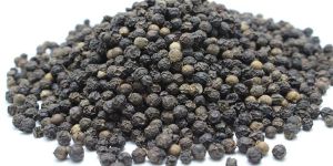Raw Black Pepper