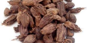 Organic Black Cardamom