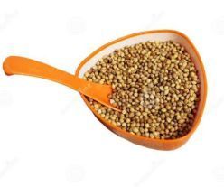 Coriander Seeds