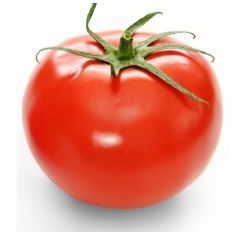 Fresh Tomato