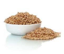 Wheat Seeds