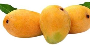 Fresh Organic Mango