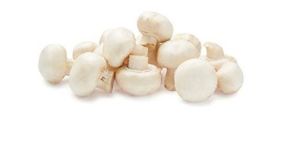 Fresh Mushroom