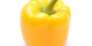 Fresh Yellow Capsicum