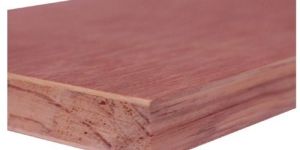 Marine Flush Door