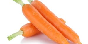 Fresh Red Carrot