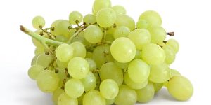 Fresh Grapes