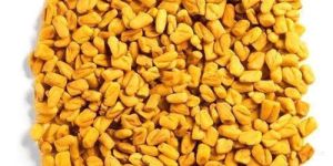 Natural Fenugreek Seeds