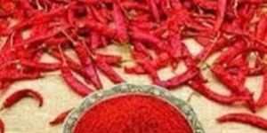 Red Chilli Powder