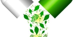 EHR Software Application