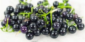 Huckleberry Fruit