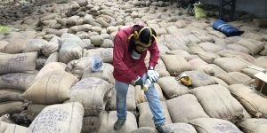 Warehouse Fumigation Services