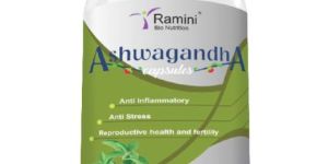 Ashwagandha - 500 Mg- 90 Veg Capsules