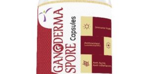 GANODERMA SPORE - 400 mg - 90 VEG CAPSULES