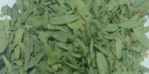 Senna Leaves
