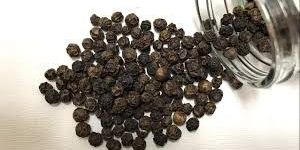 Black Pepper