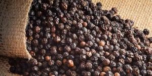 Organic Black Pepper Seeds