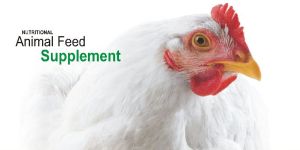 Best E+S 200 Animal Feed Supplement