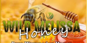 Pure Honey,Pepper,Cardamom,Cinnamon,Cloves,Coffee Bean,Roasted Coffee Bean, etc..Kerala spices