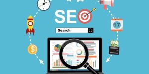 Seo Consultation Service