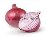 Fresh Red Onion