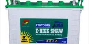 Electric Rickshaw Battery