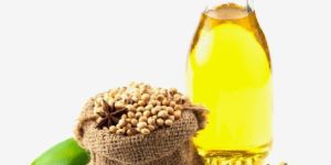 Soybean Oil
